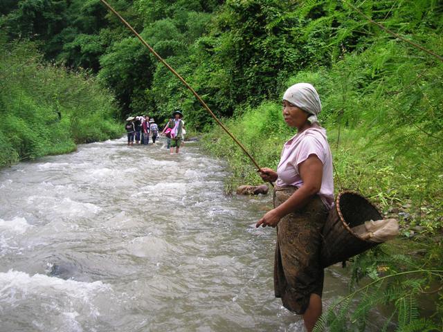 PICT0142 resize.JPG